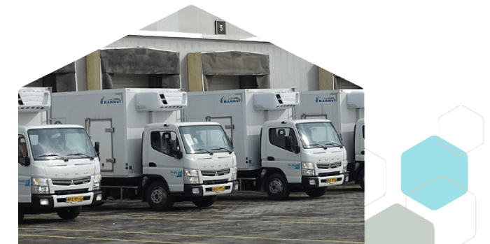 پخش دارویی ممتاز